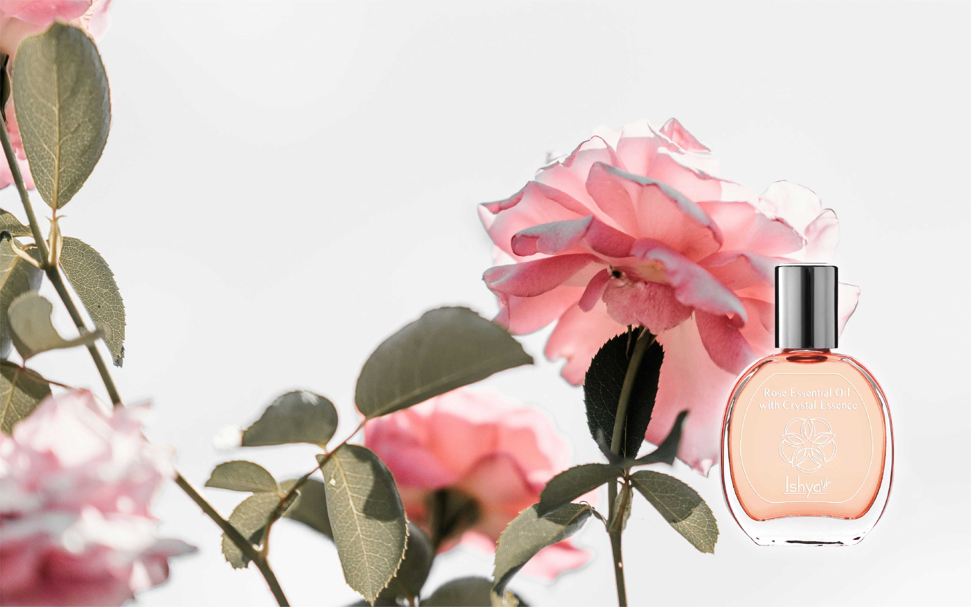 玫瑰拉提塑顏SPA