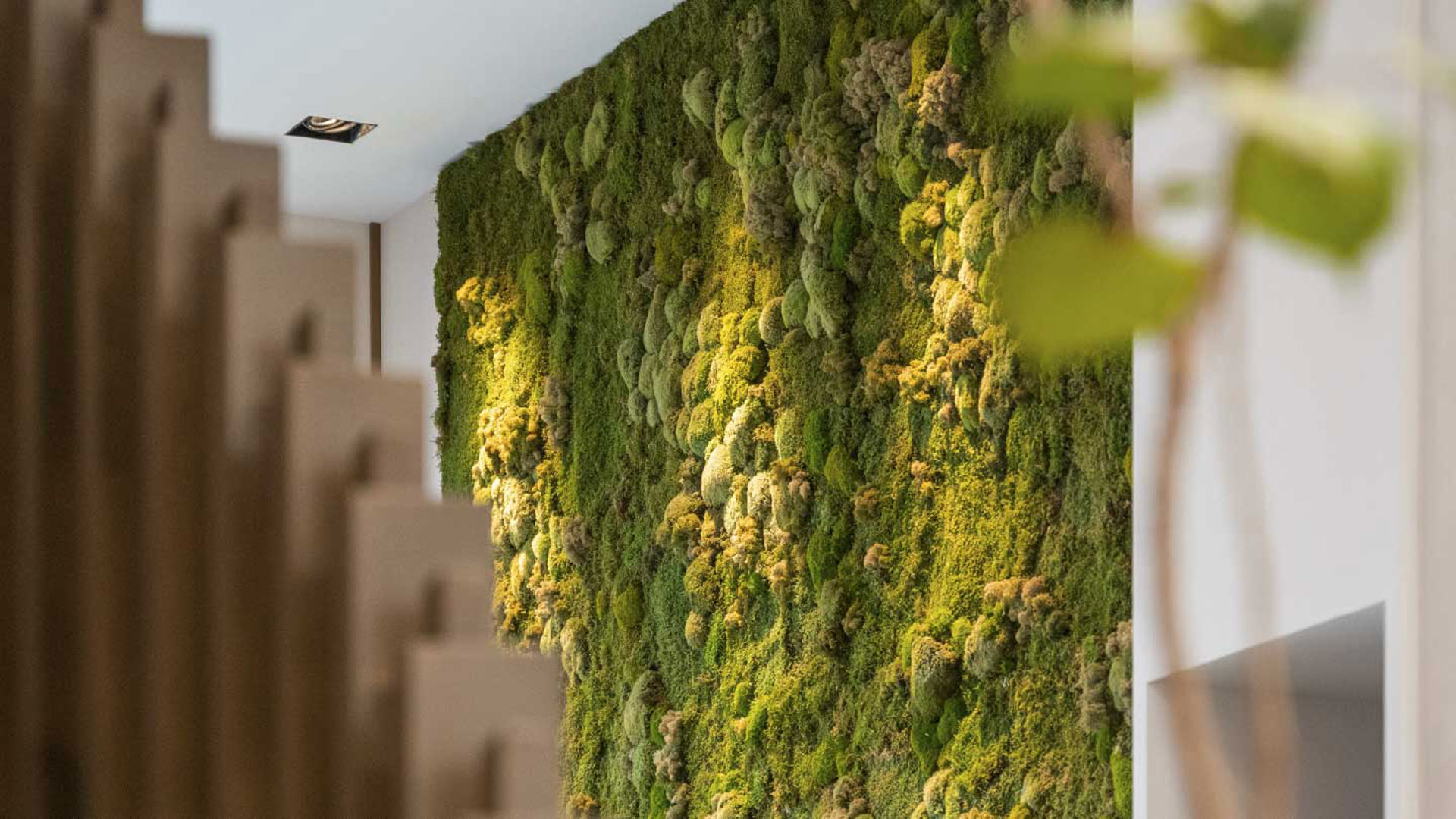 台中spa推薦朵薩