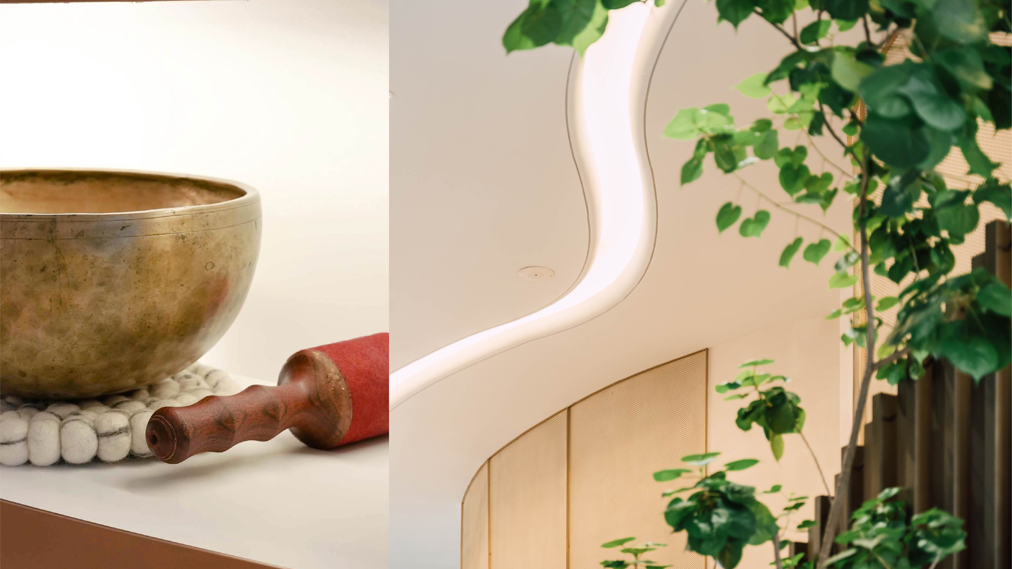 為何會感到內耗與情緒焦慮