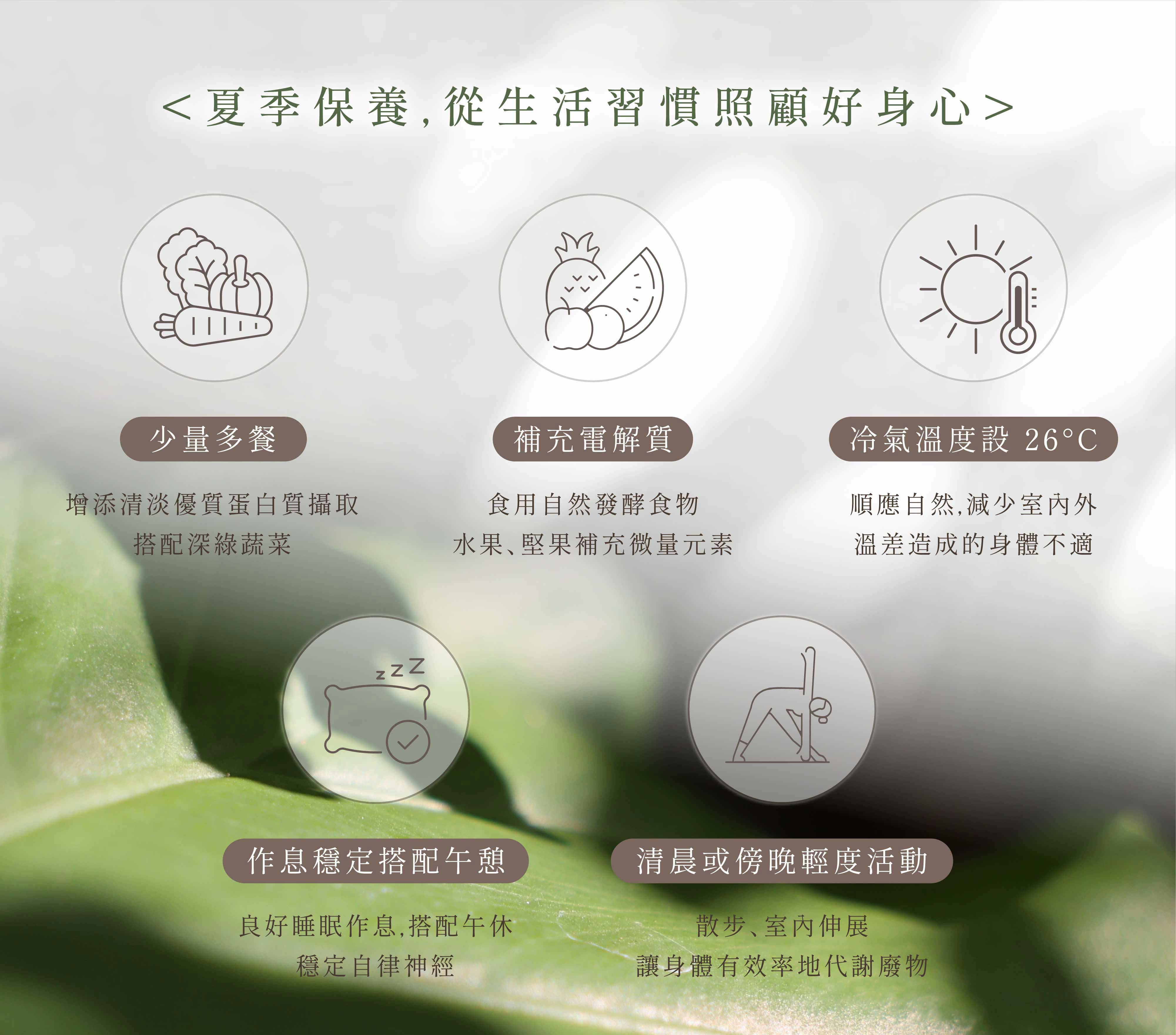 夏季保養，透過飲食和生活作息調養生息，降低夏季疲勞症候群