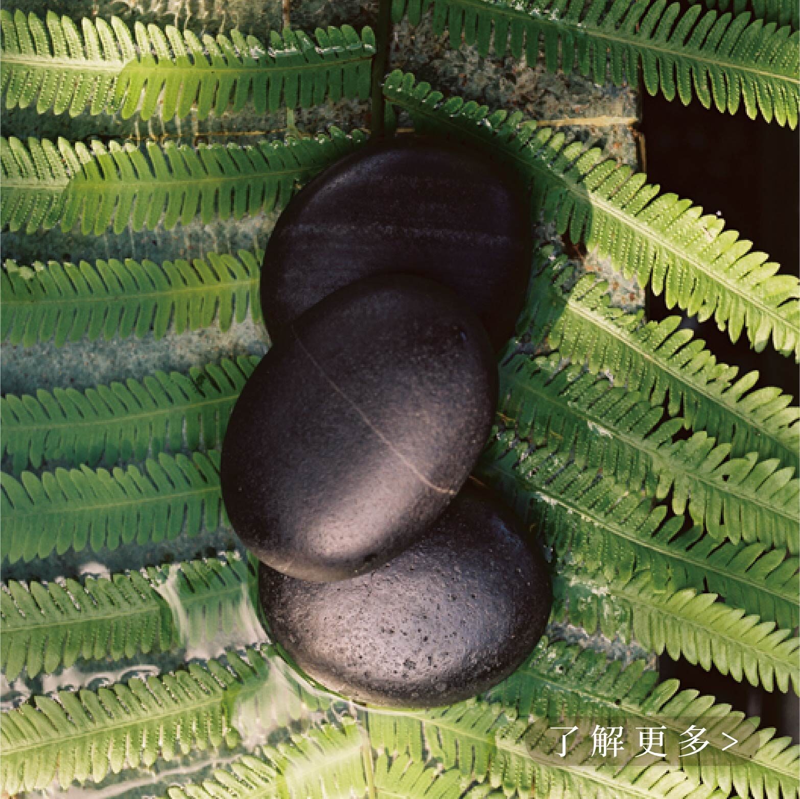 專屬個人化臉部設計保養