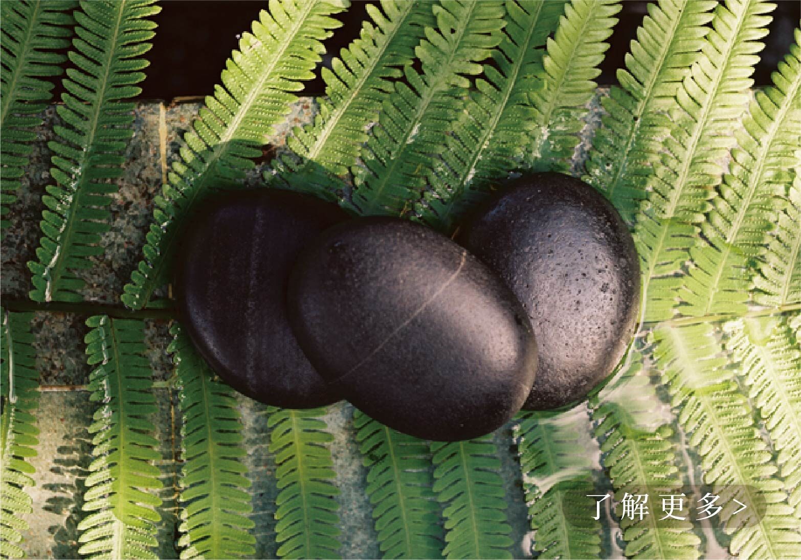 專屬個人化臉部設計保養